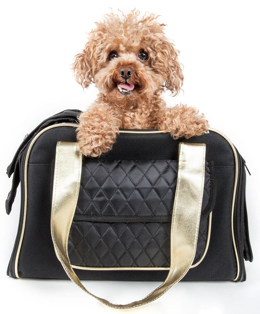 Airline Approved Mystique Fashion Pet Carrier