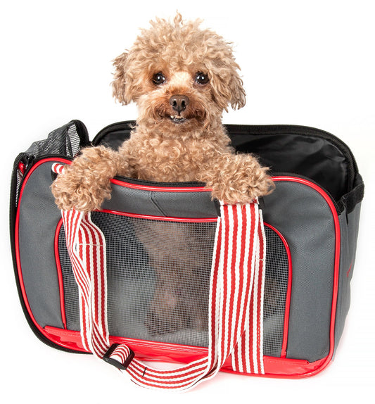 PDD Candy Cane' Fashion Pet Carrier