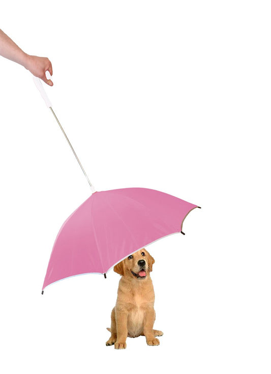 Pour-Protection Umbrella With Reflective Lining And Leash Holder