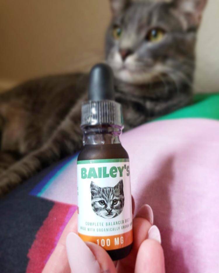 Bailey's Full Spectrum Hemp Oil For Cats w/ 100MG Naturally Occurring CBD