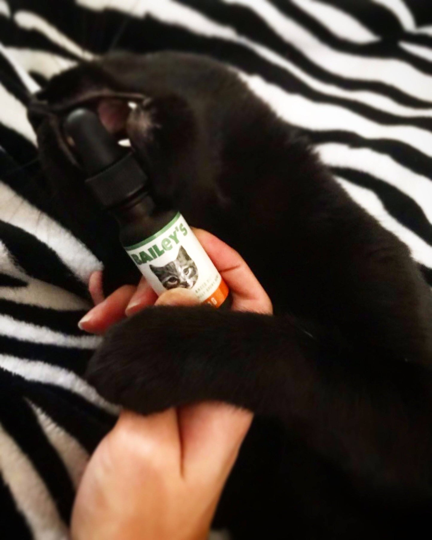 Bailey's Full Spectrum Hemp Oil For Cats w/ 100MG Naturally Occurring CBD