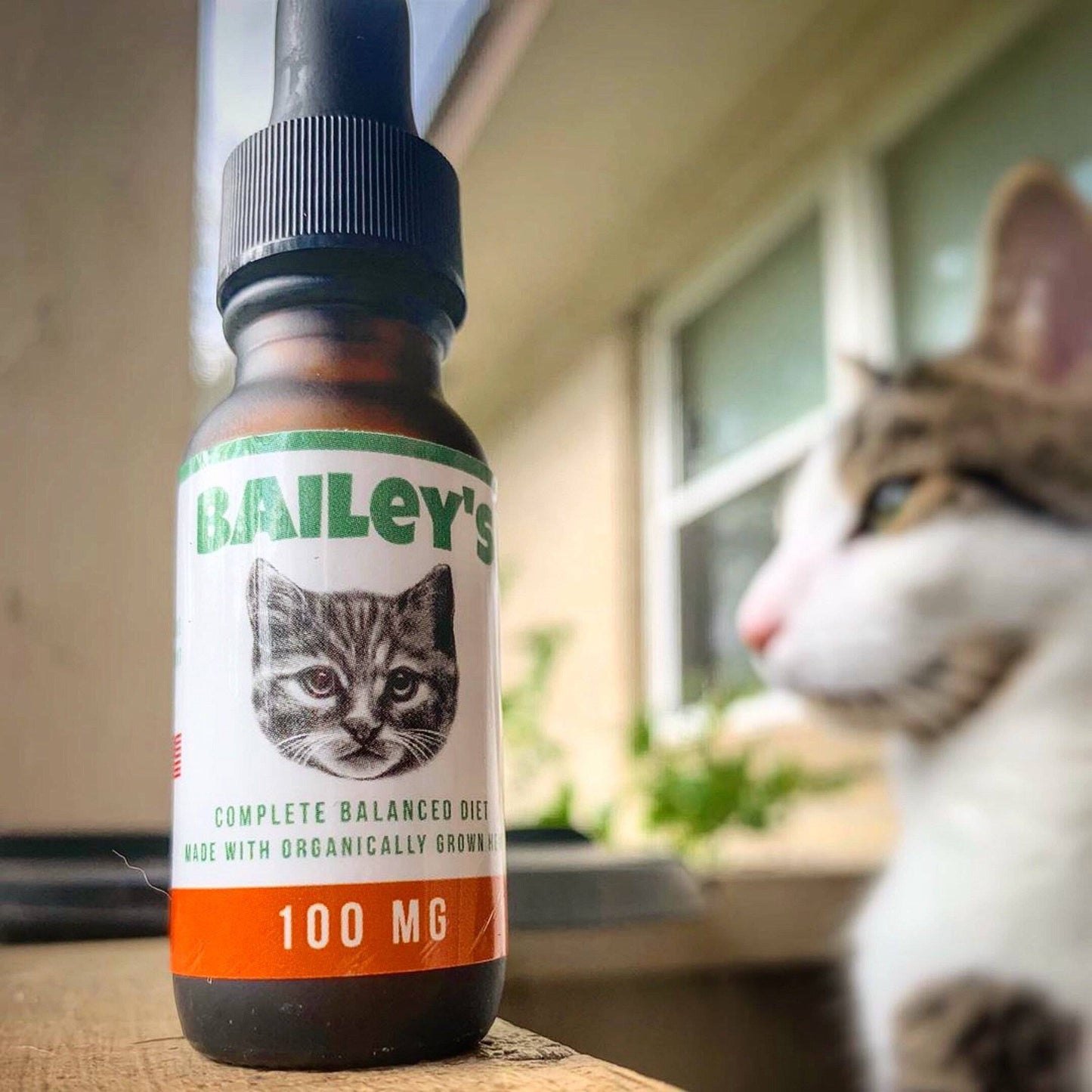 Bailey's Full Spectrum Hemp Oil For Cats w/ 100MG Naturally Occurring CBD