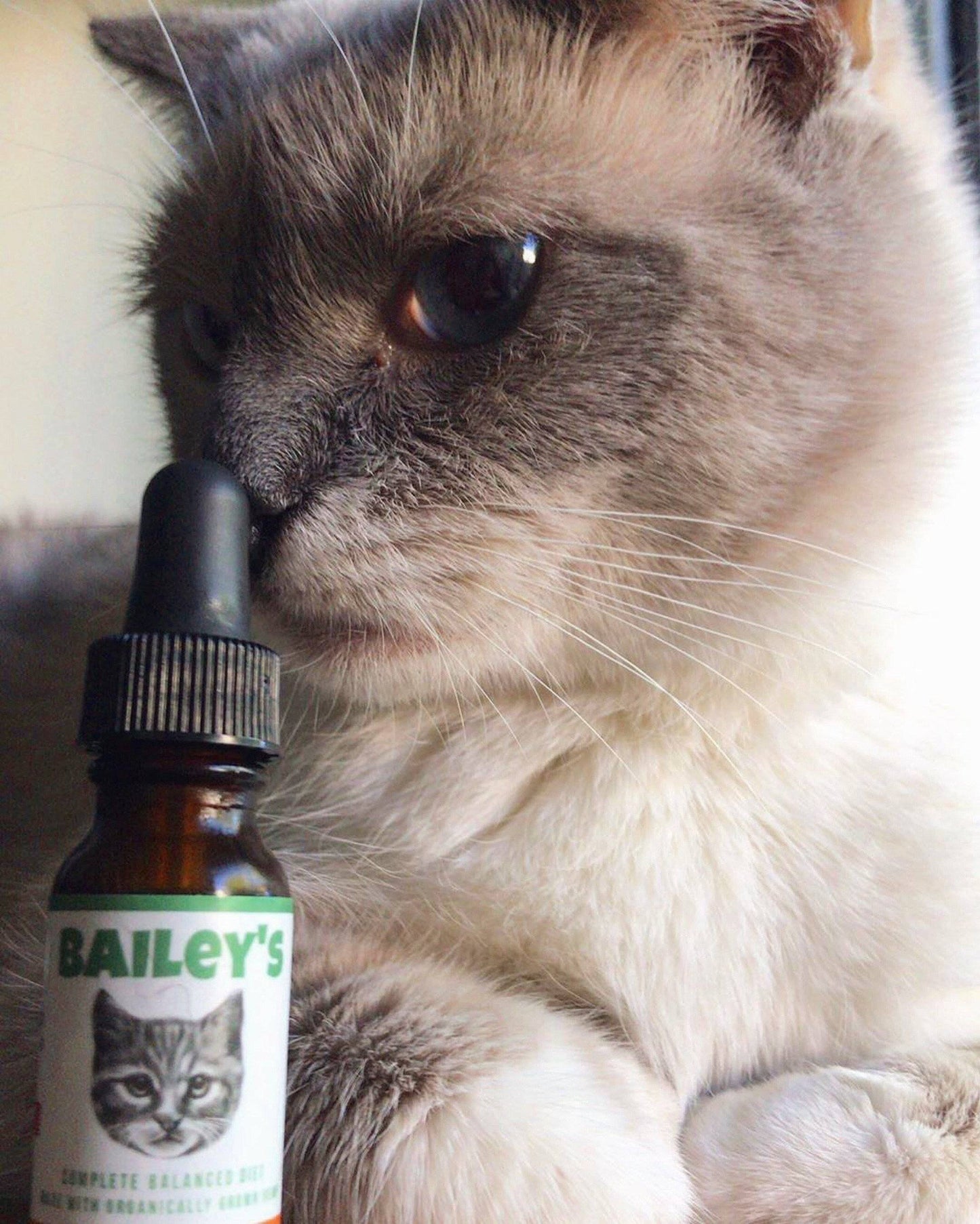 Bailey's Full Spectrum Hemp Oil For Cats w/ 100MG Naturally Occurring CBD