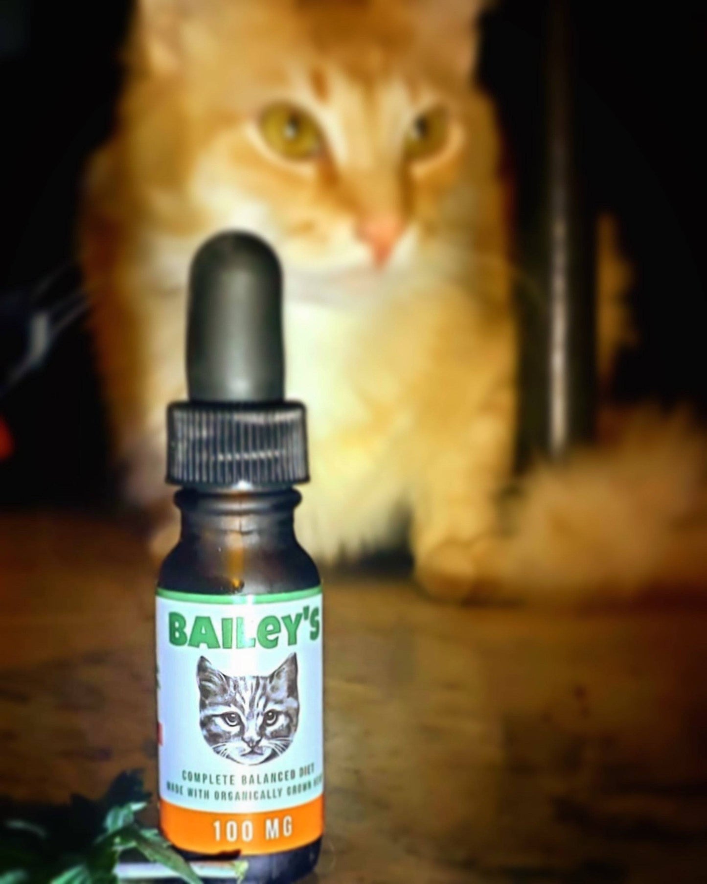 Bailey's Full Spectrum Hemp Oil For Cats w/ 100MG Naturally Occurring CBD